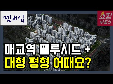 매교역 팰루시드 + 올림픽파크포레온 전매제한 해제 + 대형 <strong>평수</strong> 아파트 어때요?