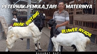 A beginner breeder with exceptional material | There's a male Etawa goat with a star child