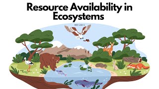 Resource Availability in Ecosystems