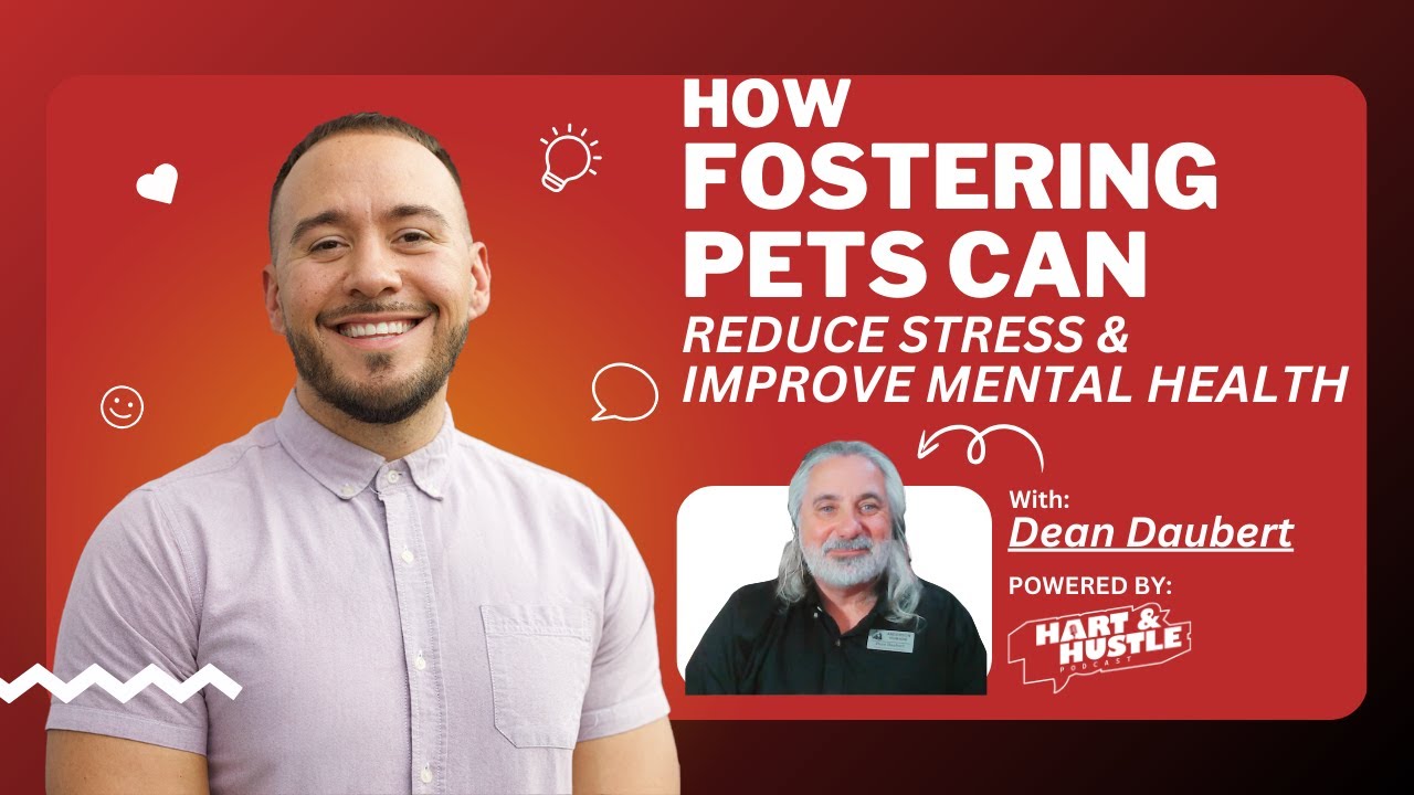 How Fostering Pets Can Reduce Stress and Improve Mental Health