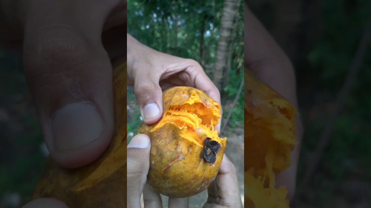 The fruit with the most benefits | egg fruit