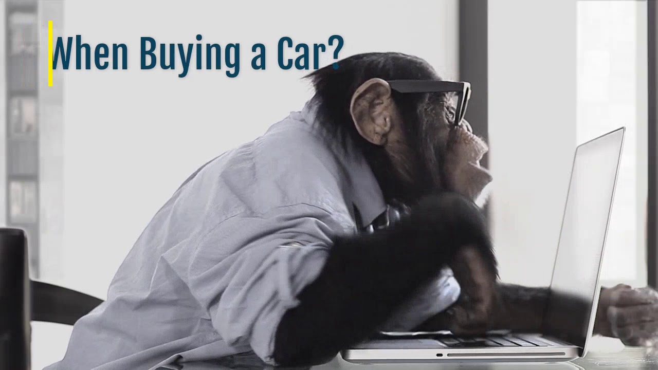 No Monkey Business at Findlay Toyota Prescott