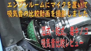 毒キノコ【湿式・乾式】吸気音比較レビュー