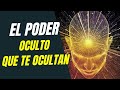 Lo que los Políticos NO Quieren que Sepas