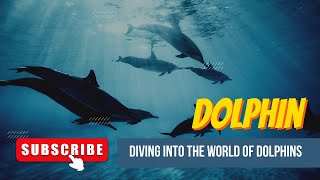 Diving into the World of Dolphins: Unveiling the Secrets of These Playful Ocean Creatures