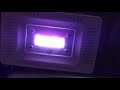 CF Grow 50W LED Plant Grow Light Review