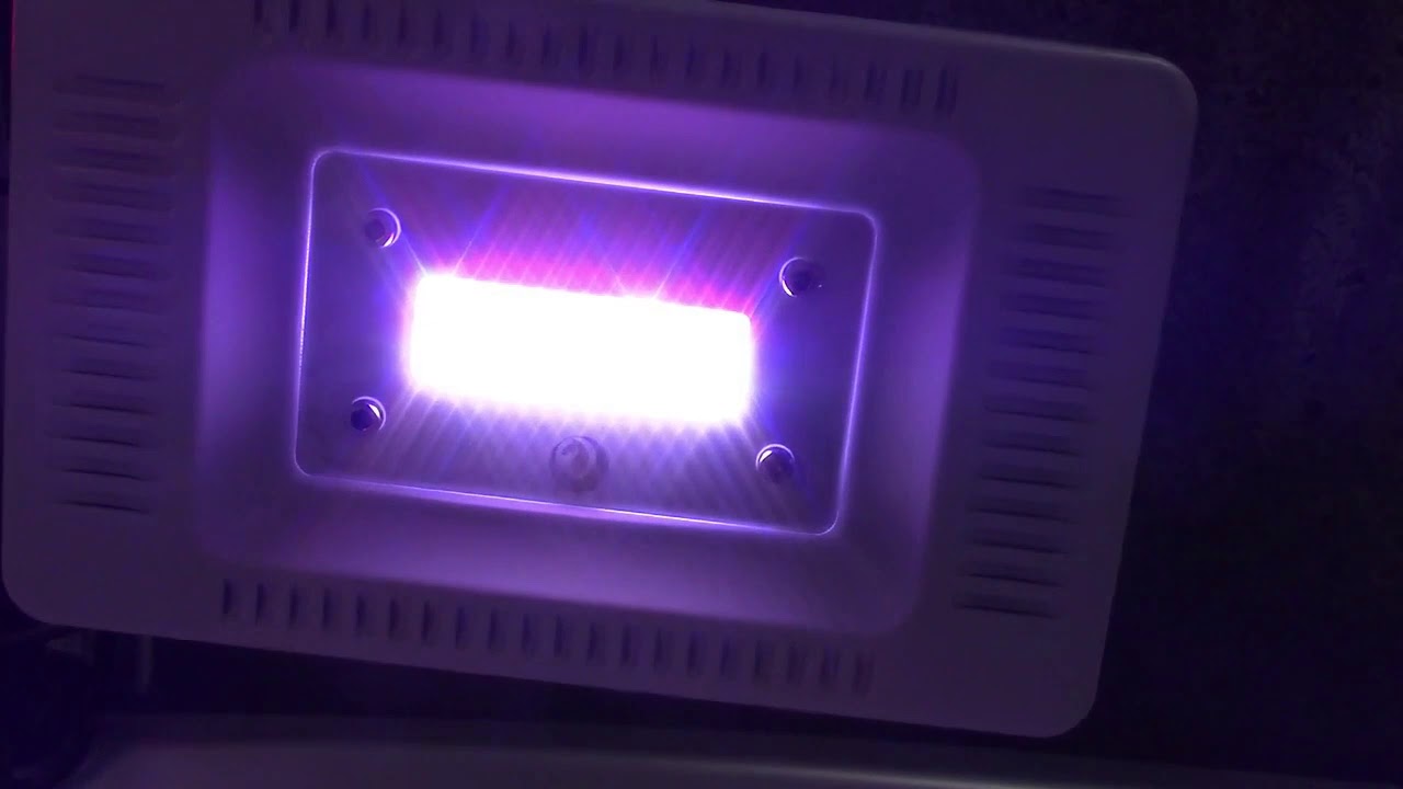 CF Grow 50W LED Plant Grow Light Review