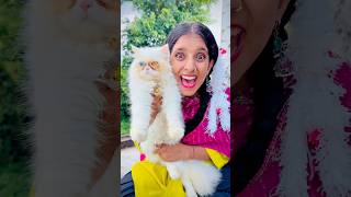 New cat gayab ho gayi 😱🐈 | Mini Vlog #shorts #minivlog #ashortaday #vlog #trending #cats #cat