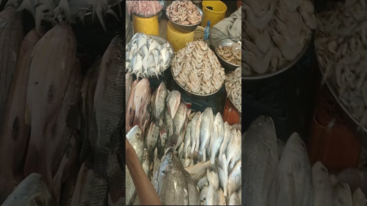 Karachi oldest fish Market | YouTube Short | Short Video | Fish Market 