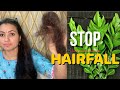 Stop Hair Fall Naturally in 1 Month | 100% Effective Remedies to cure Hair Thinning & Hair Loss