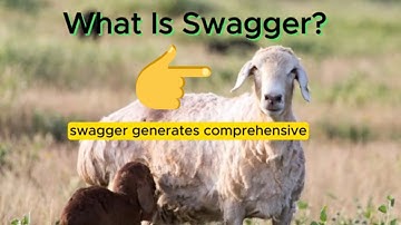 What Is Swagger for APIs?