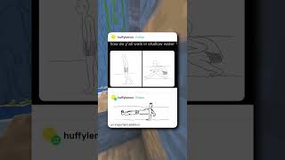 Swimming Like A Pro Or A Meme?