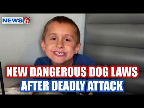 Volusia County enforces new dangerous dog laws 1 year after fatal attack of boy