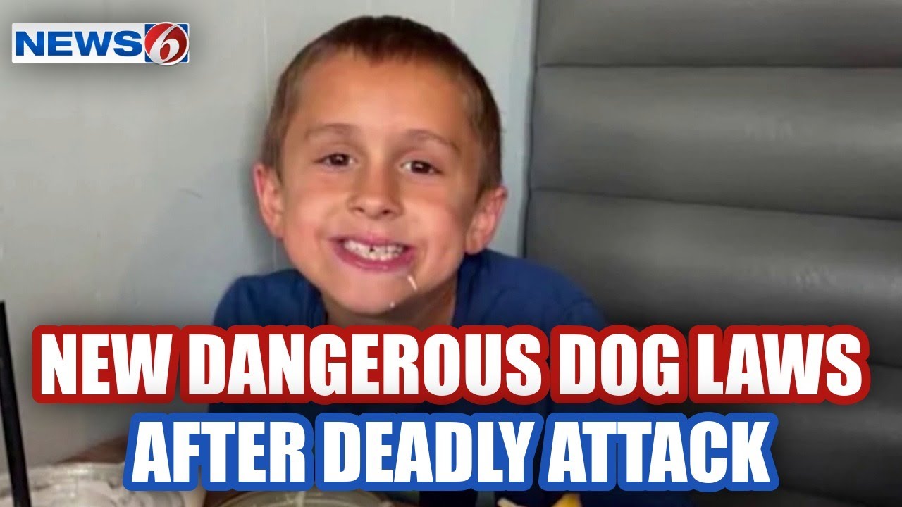Volusia County enforces new dangerous dog laws 1 year after fatal attack of boy