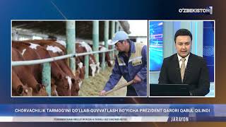 Chorvachilik Tarmogini Qollab-Quvvatlash Boyicha Prezident Qarori Qabul Qilindi Dayjest