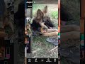 YouTube secret update#shortsfeed #youtubeshorts #tech #shorts #short #shortsvideo