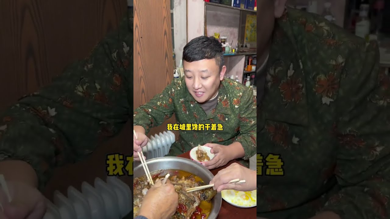 这就是东北的幸福生活 #理想i8