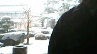 treeleafzen's QuickCapture Video - February 26, 2009, 07:08 PM