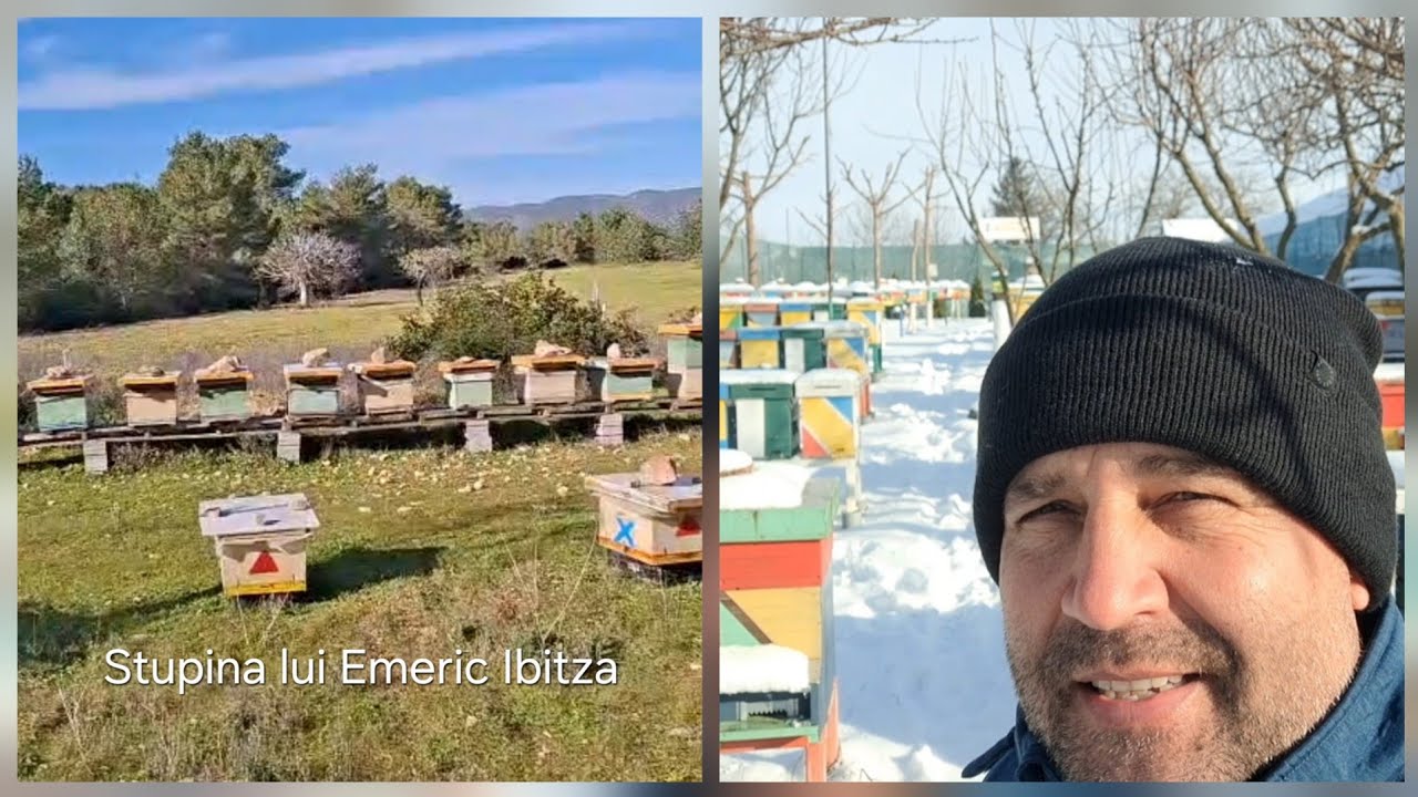 Livrări comenzi miere. Stupina prietenului Emeric din Ibiza.