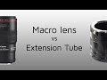 Macro lens VS Extension Tube!