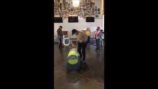 Bark Bar Training Lessons