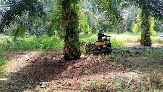 মালয়েশিয়া পাম বাগানে যেভাবে গাছের গোড়া পরিষ্কার করে,,,,mb গাড়ি দিয়ে screenshot 4