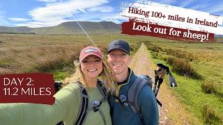 DAY 2: Hiking the Dingle Way: Ireland's Most Beautiful Coastal Trail