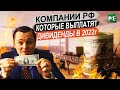 КАКИЕ КОМПАНИИ ВЫПЛАТЯТ ДИВИДЕНДЫ В 2022 ГОДУ.