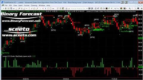 TradeStation And NinjaTrader Crude Oil Futures Daily Report 30th Oct 2012