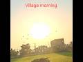 Village morning view #nature #minivlog ##shorts video
