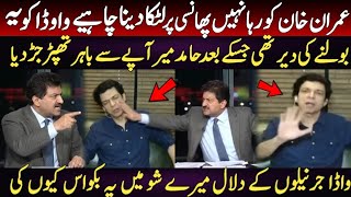 Faisal Vawda's opposition to Imran Khan made Hamid Mir lose his cool.