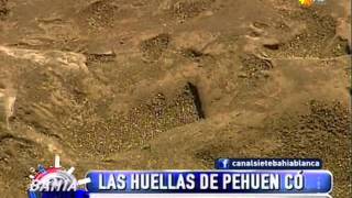 Las huellas de Pehuen Có