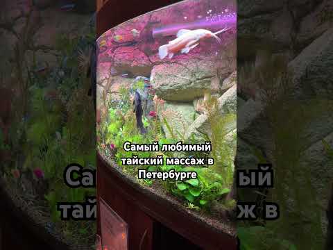 Самый любимый спа салон с Тайским массажем в Санкт-Петербурге Thai Star