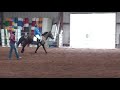 Trouble trot 1