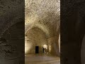 Ajloun Castle - قلعة عجلون