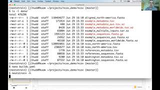 Demo: Building a region-focused SARS-CoV-2 Nextstrain tree