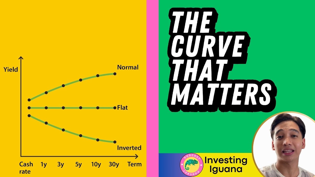 Yield Curves Explained: Investment Strategy Guide  | 🦖 