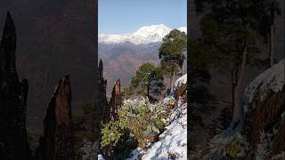 वक्त कीलकीरों से 🎶👀♥️💯🌍@DDReact @khangsresearchcentre1685 #nature #trending #love
