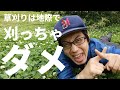 重労働の草刈りホント楽になります。草を高く刈ると身体への負担が減る理由。