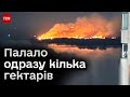 Київ охопила масштабна пожежа! Чи вдалося загасити?