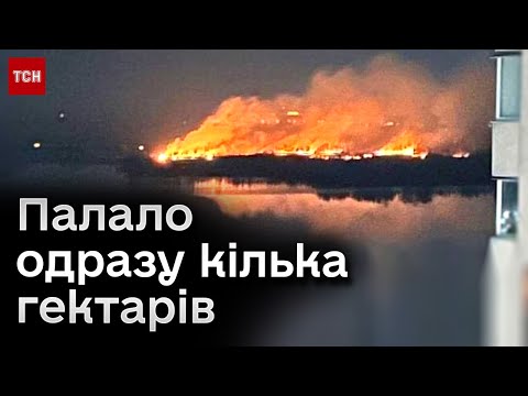 Київ охопила масштабна пожежа! Чи вдалося загасити?