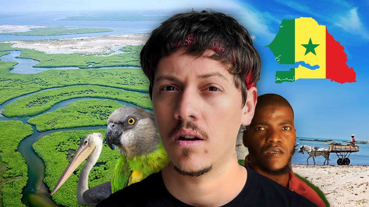 Он уехал из Мавритании и поселился на отдалённом острове в дельте Салум, Сенегал – 🇸🇳🏝️