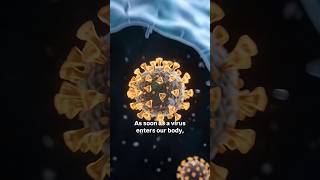 What a Virus Actually Does to Your Cells