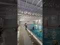 🏊‍♀️ #trendingshorts #viralshort #music #love #swimming #mytime #swimmingpool #stressrelief