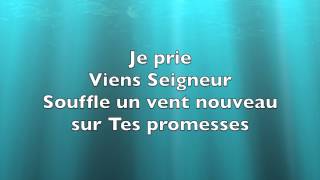 Viens Seigneur Paroles - Mireille Pruneau