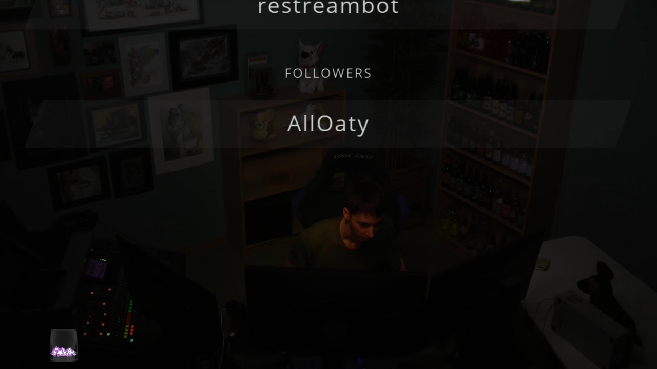 [live] When Phoenix Kick