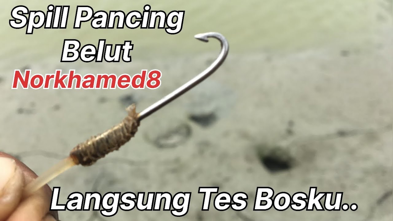 SPILL PANCING BELUT NORKHAMED8 LANGSUNG TES