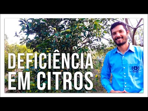 Vídeo: Controle do esverdeamento dos citros - Como identificar os sintomas da doença do esverdeamento dos citros