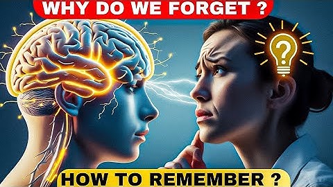 The Science of Memory 🧠 : How We Remember and Forget|@SF1Tech #facts