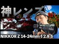 【カメラ】NikonのZ14-24mmF2.8は神レンズと言い切れる最高のレンズでした！